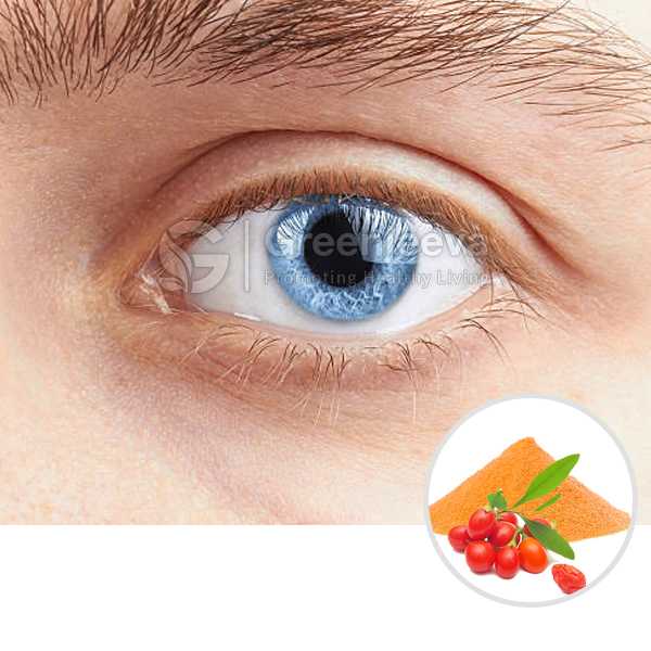Wolfberry Fruit Extract Powder 10:1, TLC
